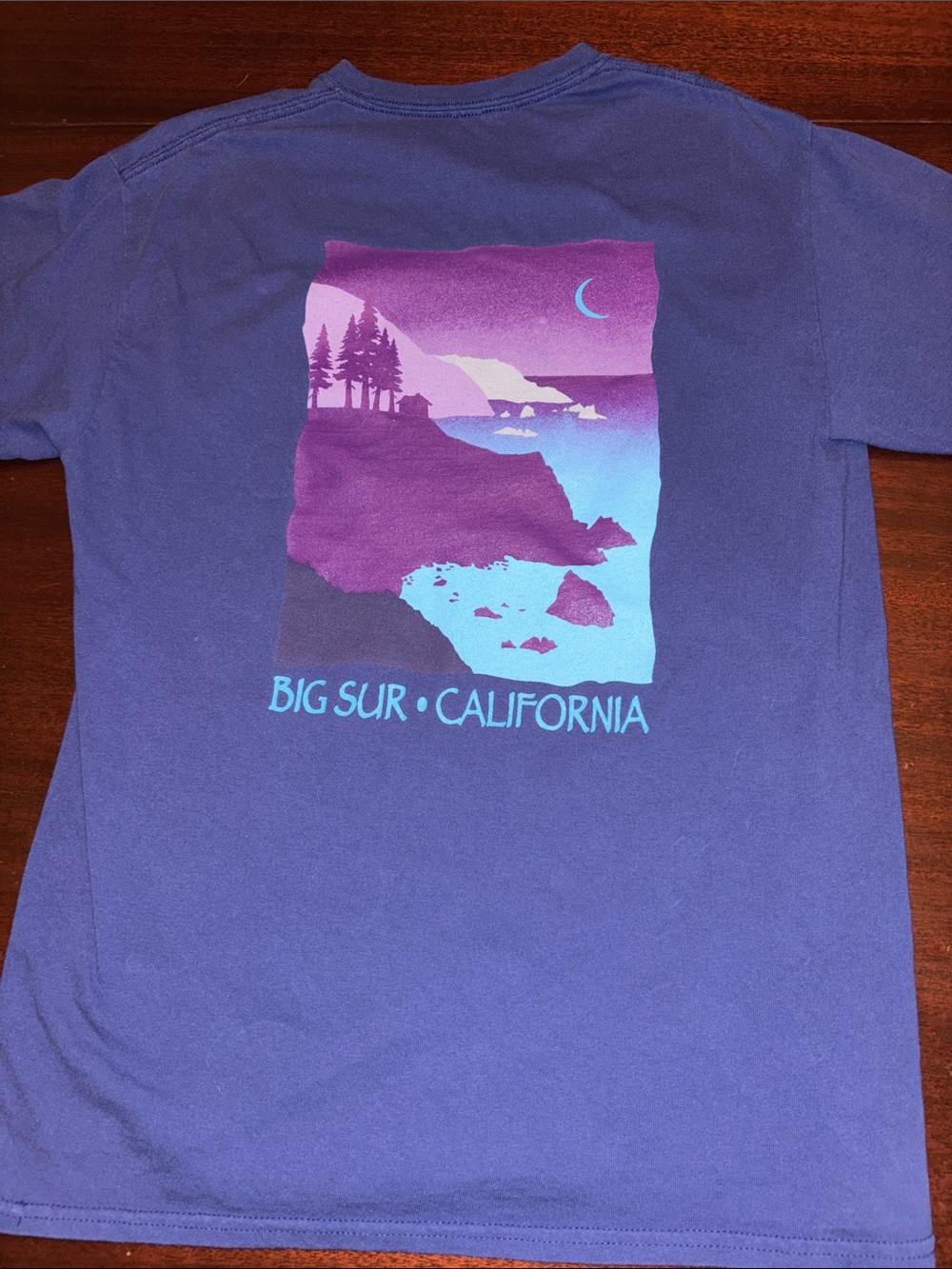 Big Sur California t shirt Large L Blue